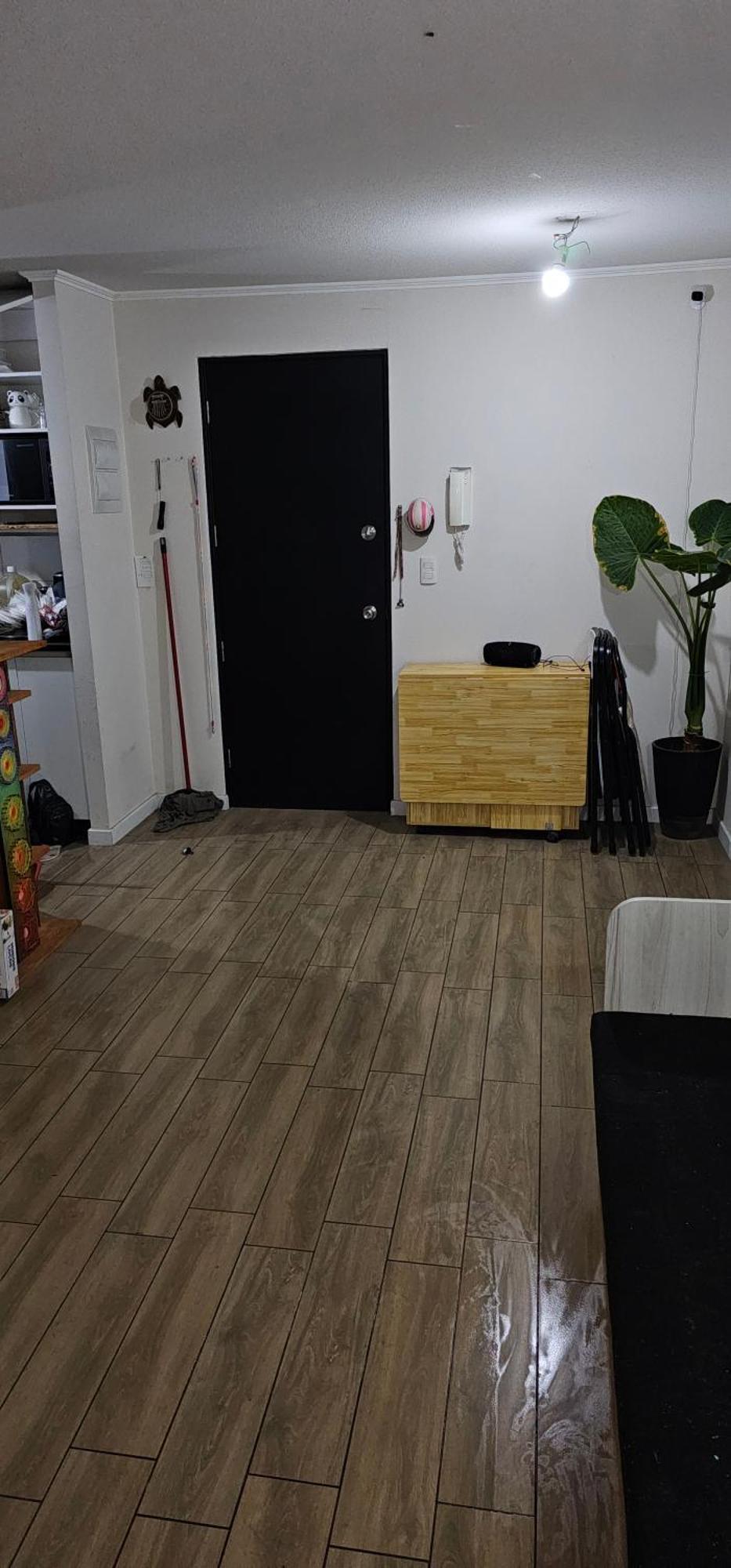 Departamento Minimalista Santiago